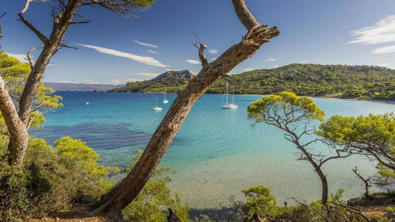 Calme Et Confort En Rez-De-Jardin La Londe-les-Maures Esterno foto
